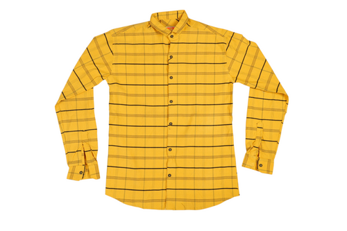 Checks Men's Shirt